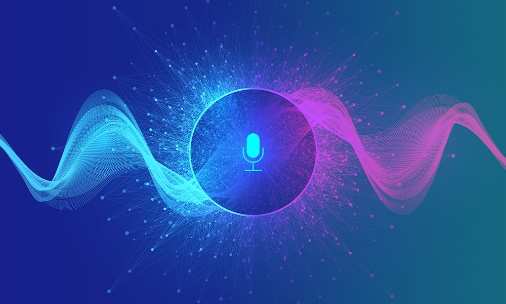 KnuVerse Voice Recognition, Voice Biometrics – Case Study