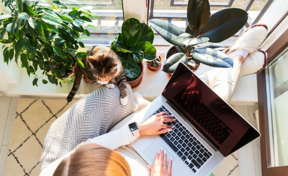 What Are the Work from Home Jobs I Can Do?