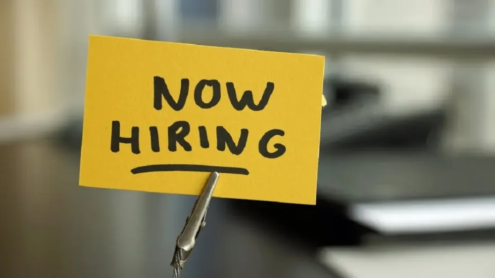 Best Free Job Posting Sites in South Africa | Paid Job Post Sites