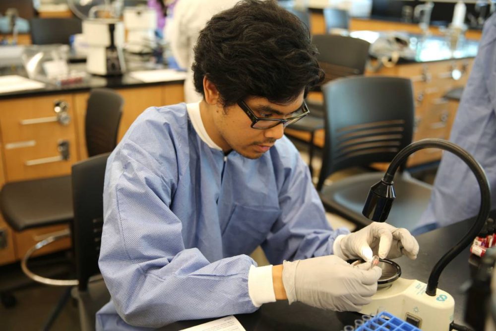 medical laboratory technician