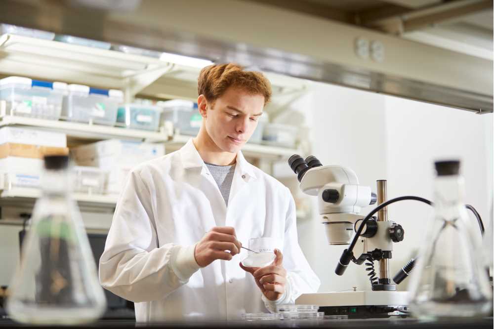 medical laboratory technicians
